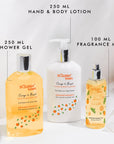 Orange & Basil - Body Care Bundle