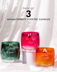Bestseller Bunch (Pack of 3) - Scented Candle
