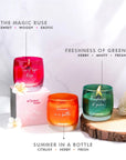 Bestseller Bunch (Pack of 3) - Scented Candle