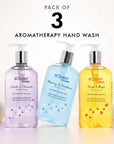 Bestseller Bunch (Pack of 3) - Hand Wash