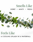 Freshness Of Green - Car Refill Set