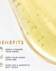 Sage & Cedarwood - Cleansing Hand Wash