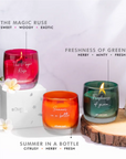 Bestseller Bunch (Pack of 3) - Scented Candle