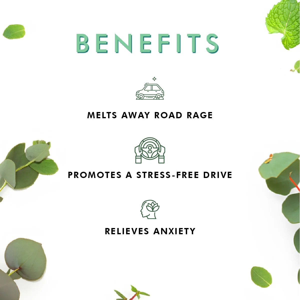 Freshness Of Green - Car Fragrance Set