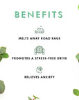 Freshness Of Green - Car Fragrance Set