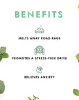 Freshness Of Green - Car Refill Set