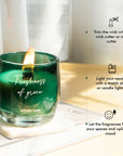 Freshness of green Home Fragrance Set