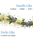 Heaven On Board - Car Fragrance Set