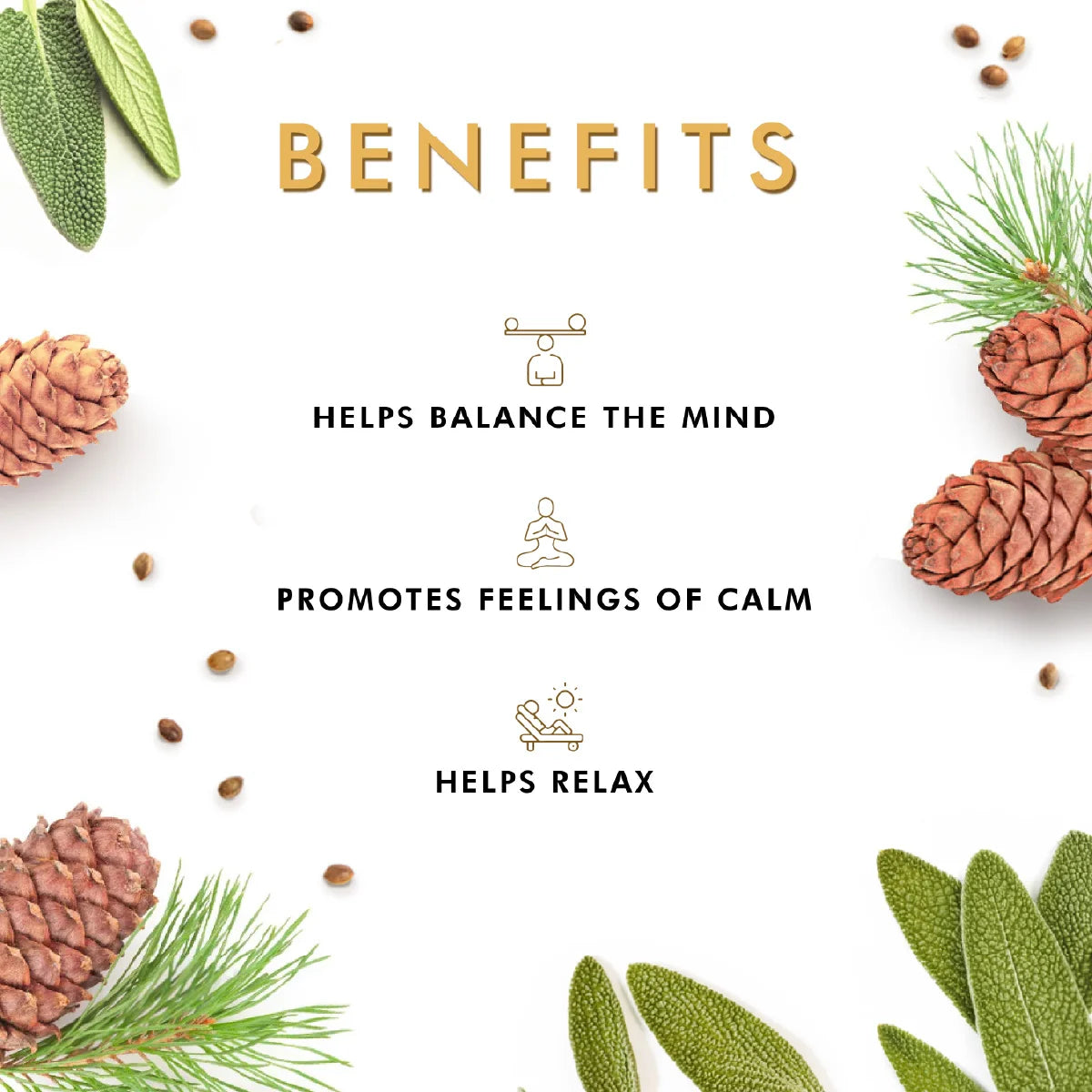 Sage &amp; Cedarwood - Travel Kit